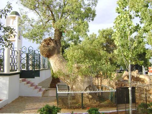 Dardara Historical Site