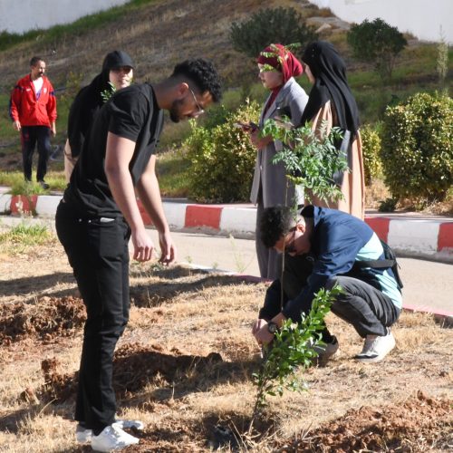 571227862_838229932056038_8236296740556645682_n