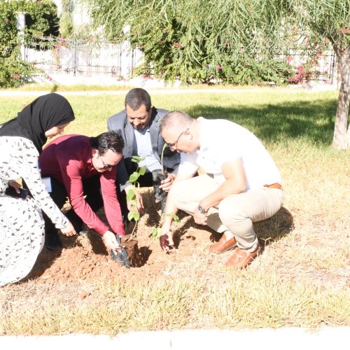 571320505_838228265389538_7196117724178951881_n