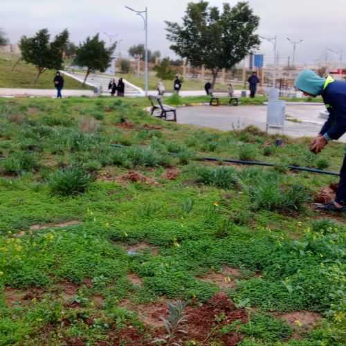 634089738_122255540108037782_4684115952364898995_n